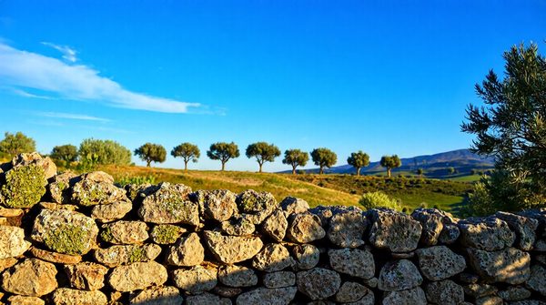 Solutions rapides et écologiques pour nuisibles en vaucluse
